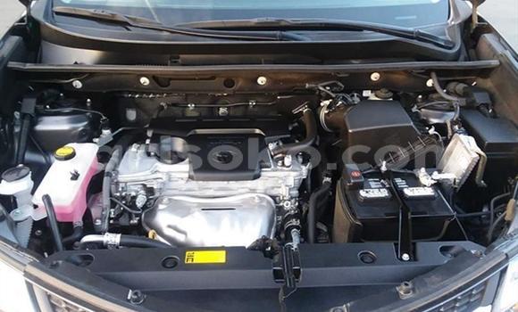 Buy Used Toyota RAV4 Black Car in Kigali in Rwanda Buy Used Toyota RAV4 Black Car in Kigali in Rwanda