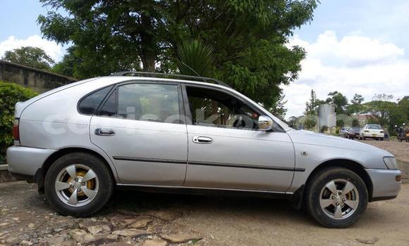 Acheter Occasion Voiture Toyota Corolla Gris à Butare, Butare Acheter Occasion Voiture Toyota Corolla Gris à Butare, Butare