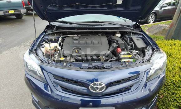 اشتري مستعمل Toyota Corolla Bleu سيارة في Kigali في Rwanda اشتري مستعمل Toyota Corolla Bleu سيارة في Kigali في Rwanda