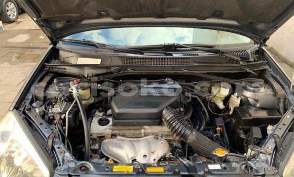 Buy Used Toyota RAV4 Black Car in Kigali in Rwanda Buy Used Toyota RAV4 Black Car in Kigali in Rwanda