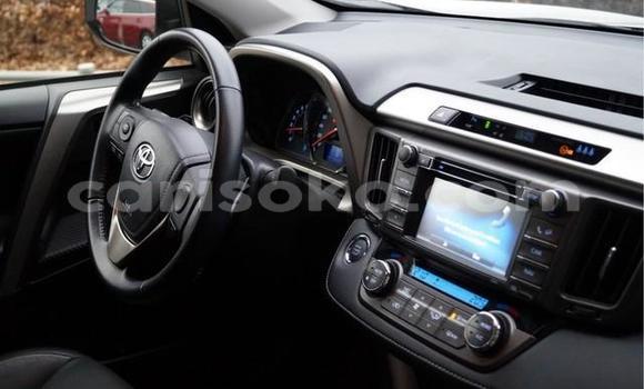 Buy Used Toyota RAV4 Green Car in Kigali in Rwanda Buy Used Toyota RAV4 Green Car in Kigali in Rwanda