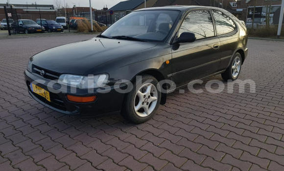 Buy Used Toyota Corolla Beige Car in Kigali in Rwanda Buy Used Toyota Corolla Beige Car in Kigali in Rwanda