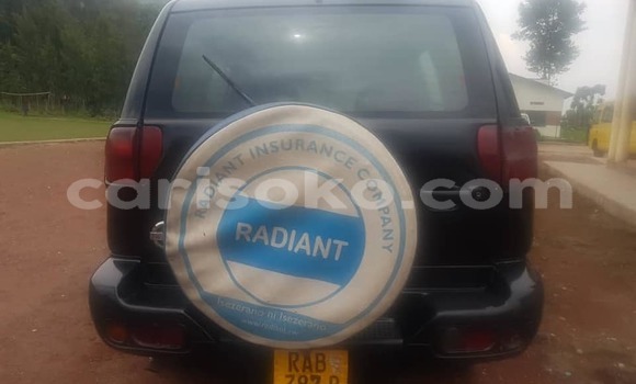 Acheter Occasion Voiture Nissan Terrano Noir à Kigali, Rwanda Acheter Occasion Voiture Nissan Terrano Noir à Kigali, Rwanda