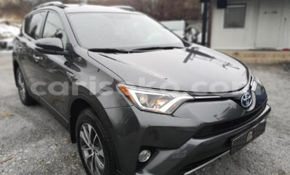 Buy Used Toyota RAV4 Black Car in Kigali in Rwanda Buy Used Toyota RAV4 Black Car in Kigali in Rwanda