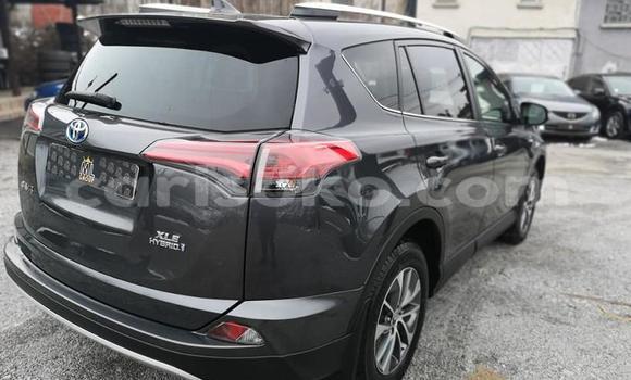Buy Used Toyota RAV4 Black Car in Kigali in Rwanda Buy Used Toyota RAV4 Black Car in Kigali in Rwanda