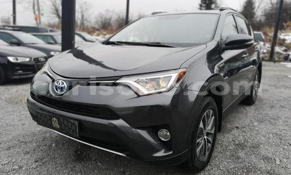 Buy Used Toyota RAV4 Black Car in Kigali in Rwanda Buy Used Toyota RAV4 Black Car in Kigali in Rwanda