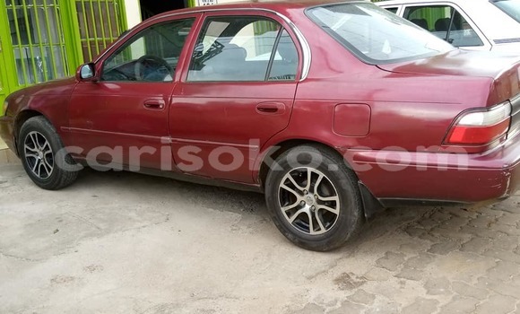 Buy Used Toyota Corolla Red Car in Kigali in Rwanda Buy Used Toyota Corolla Red Car in Kigali in Rwanda