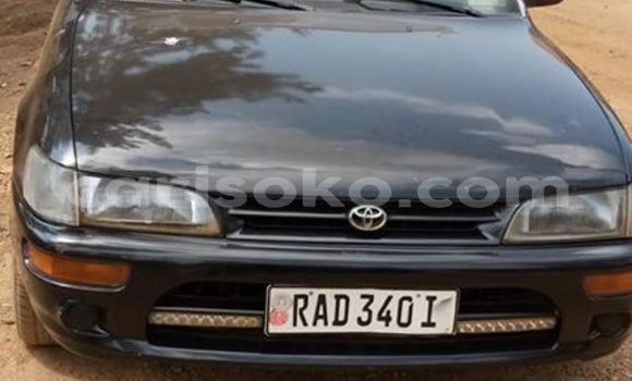 Buy Used Toyota Corolla Black Car in Kigali in Rwanda Buy Used Toyota Corolla Black Car in Kigali in Rwanda