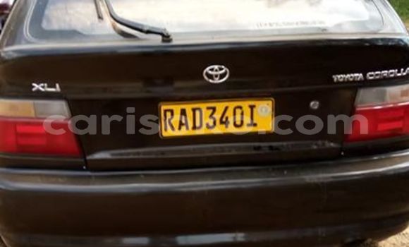 Buy Used Toyota Corolla Black Car in Kigali in Rwanda Buy Used Toyota Corolla Black Car in Kigali in Rwanda