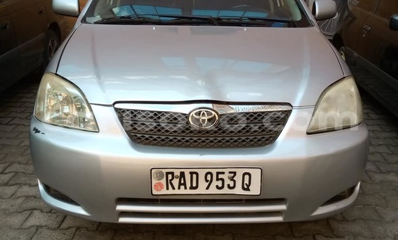 Buy Used Toyota Allex Silver Car in Kigali in Rwanda Buy Used Toyota Allex Silver Car in Kigali in Rwanda
