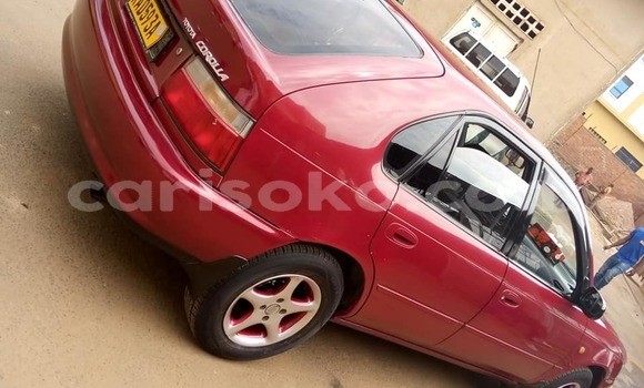 Buy Used Toyota Corolla Red Car in Kigali in Rwanda Buy Used Toyota Corolla Red Car in Kigali in Rwanda