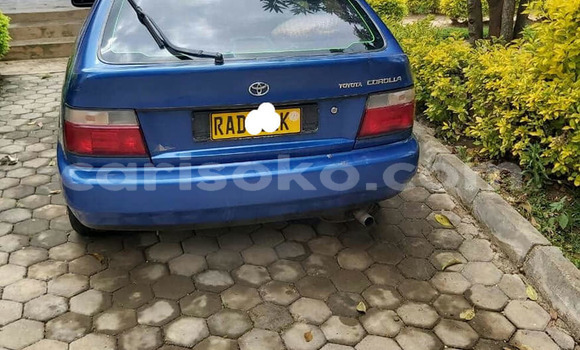Acheter Occasion Voiture Toyota Corolla Bleu à Kigali, Rwanda Acheter Occasion Voiture Toyota Corolla Bleu à Kigali, Rwanda