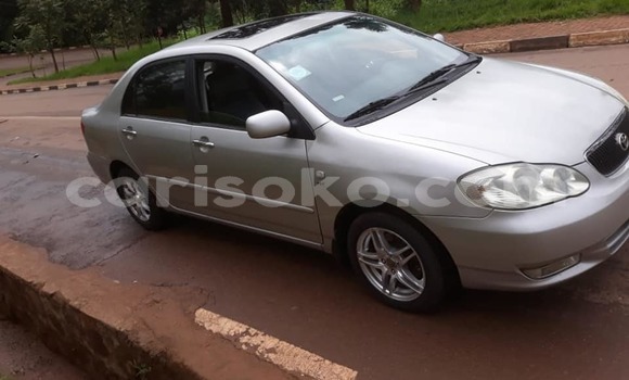 Acheter Occasion Voiture Toyota Corolla Gris à Kigali, Rwanda Acheter Occasion Voiture Toyota Corolla Gris à Kigali, Rwanda