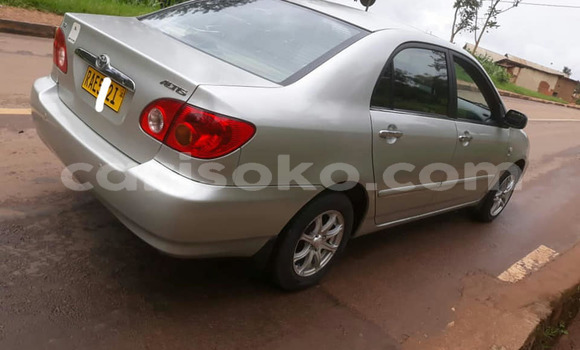 Acheter Occasion Voiture Toyota Corolla Gris à Kigali, Rwanda Acheter Occasion Voiture Toyota Corolla Gris à Kigali, Rwanda