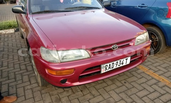 Acheter Occasion Voiture Toyota Corolla Rouge à Kigali, Rwanda Acheter Occasion Voiture Toyota Corolla Rouge à Kigali, Rwanda