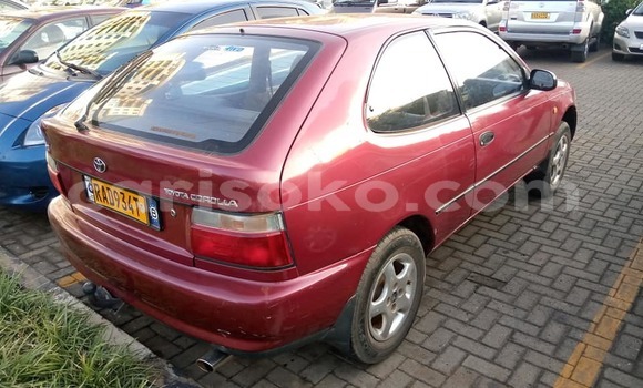 Acheter Occasion Voiture Toyota Corolla Rouge à Kigali, Rwanda Acheter Occasion Voiture Toyota Corolla Rouge à Kigali, Rwanda