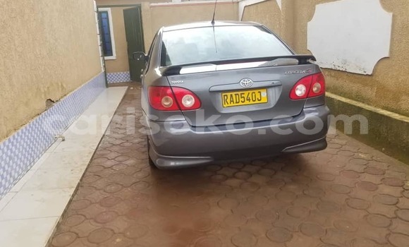 اشتري مستعمل Toyota Corolla Autre سيارة في Kigali في Rwanda اشتري مستعمل Toyota Corolla Autre سيارة في Kigali في Rwanda