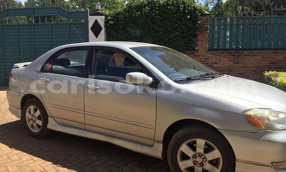 اشتري مستعمل Toyota Corolla Gris سيارة في Kigali في Rwanda اشتري مستعمل Toyota Corolla Gris سيارة في Kigali في Rwanda