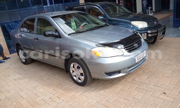 Acheter Occasion Voiture Toyota Corolla Gris à Kigali, Rwanda Acheter Occasion Voiture Toyota Corolla Gris à Kigali, Rwanda