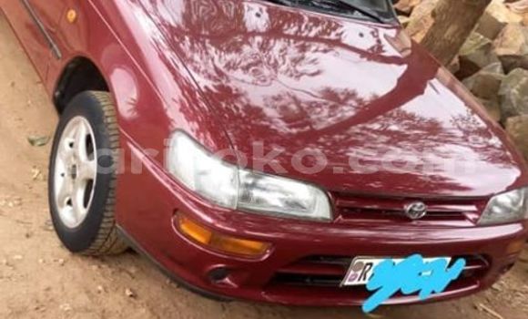 Acheter Occasion Voiture Toyota Corolla Rouge à Kigali, Rwanda Acheter Occasion Voiture Toyota Corolla Rouge à Kigali, Rwanda