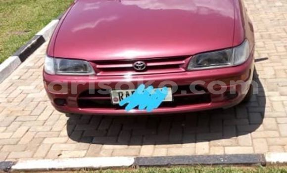 Acheter Occasion Voiture Toyota Corolla Rouge à Kigali, Rwanda Acheter Occasion Voiture Toyota Corolla Rouge à Kigali, Rwanda