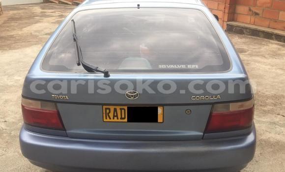 Sayi Na hannu Toyota Corolla Bleu Mota in Kigali a Rwanda Sayi Na hannu Toyota Corolla Bleu Mota in Kigali a Rwanda