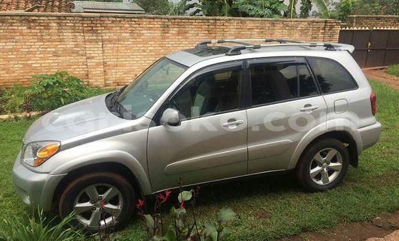 Buy Used Toyota RAV4 Silver Car in Kigali in Rwanda Buy Used Toyota RAV4 Silver Car in Kigali in Rwanda