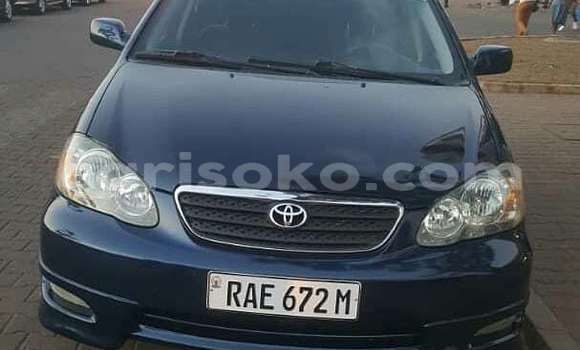 Buy Used Toyota Corolla Blue Car in Kigali in Rwanda Buy Used Toyota Corolla Blue Car in Kigali in Rwanda