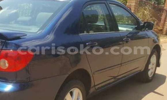 Buy Used Toyota Corolla Blue Car in Kigali in Rwanda Buy Used Toyota Corolla Blue Car in Kigali in Rwanda