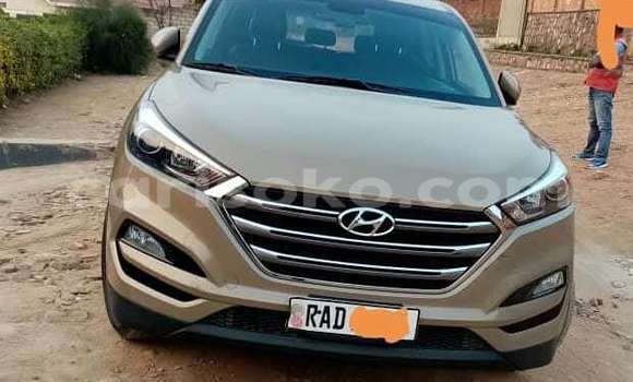 Buy Used Hyundai Tucson Brown Car in Kigali in Rwanda Buy Used Hyundai Tucson Brown Car in Kigali in Rwanda