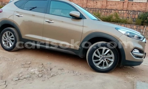 Buy Used Hyundai Tucson Brown Car in Kigali in Rwanda Buy Used Hyundai Tucson Brown Car in Kigali in Rwanda