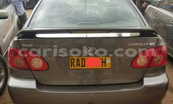 Buy Used Toyota Corolla Other Car in Kigali in Rwanda Buy Used Toyota Corolla Other Car in Kigali in Rwanda