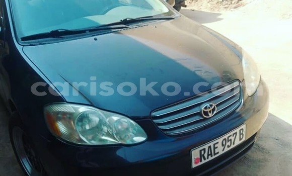 Buy Used Toyota Corolla Black Car in Kigali in Rwanda Buy Used Toyota Corolla Black Car in Kigali in Rwanda