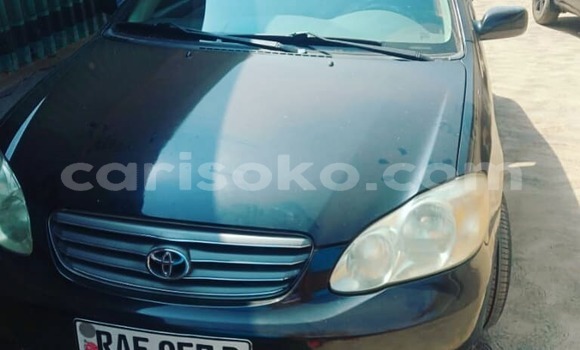 Buy Used Toyota Corolla Black Car in Kigali in Rwanda Buy Used Toyota Corolla Black Car in Kigali in Rwanda
