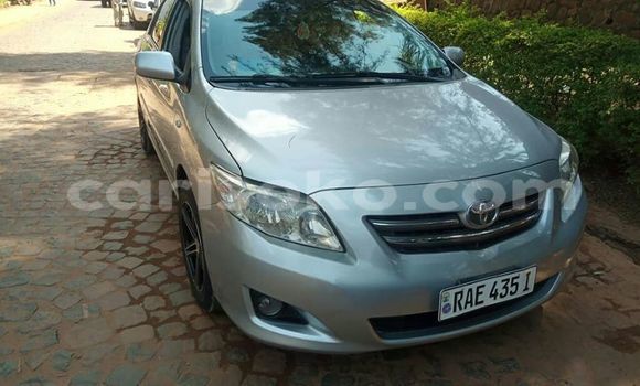 Buy Used Toyota Corolla Silver Car in Kigali in Rwanda Buy Used Toyota Corolla Silver Car in Kigali in Rwanda