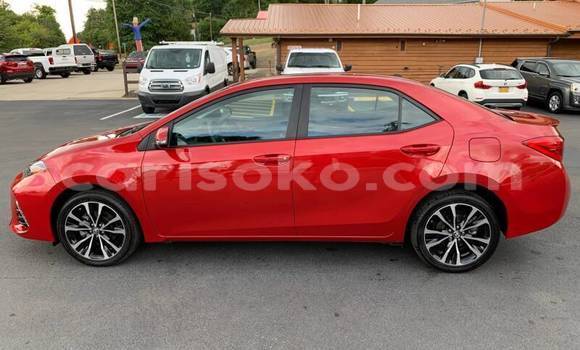 Buy Used Toyota Corolla Red Car in Kigali in Rwanda Buy Used Toyota Corolla Red Car in Kigali in Rwanda