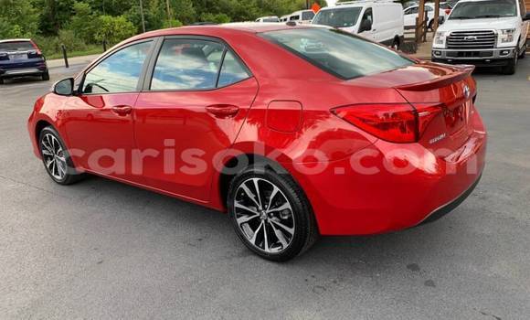 Buy Used Toyota Corolla Red Car in Kigali in Rwanda Buy Used Toyota Corolla Red Car in Kigali in Rwanda