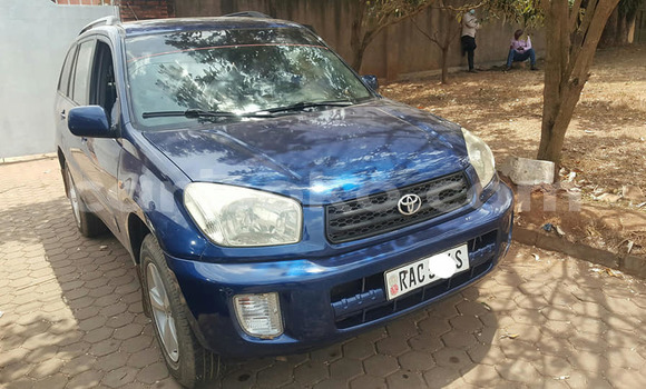 اشتري مستعمل Toyota RAV4 Bleu سيارة في Kigali في Rwanda اشتري مستعمل Toyota RAV4 Bleu سيارة في Kigali في Rwanda