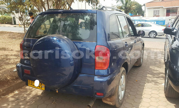 اشتري مستعمل Toyota RAV4 Bleu سيارة في Kigali في Rwanda اشتري مستعمل Toyota RAV4 Bleu سيارة في Kigali في Rwanda