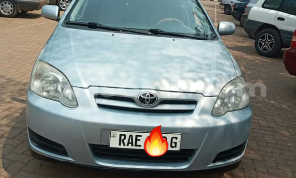 اشتري مستعمل Toyota Corolla Gris سيارة في Kigali في Rwanda اشتري مستعمل Toyota Corolla Gris سيارة في Kigali في Rwanda