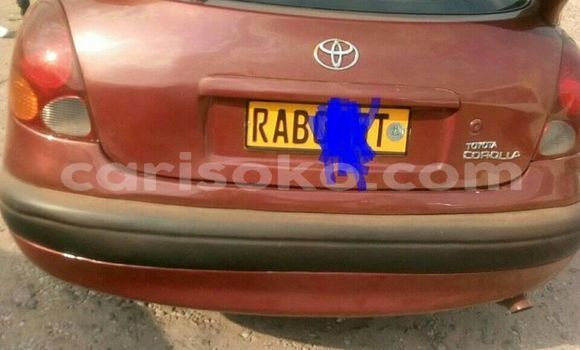 Buy Used Toyota Corolla Red Car in Kigali in Rwanda Buy Used Toyota Corolla Red Car in Kigali in Rwanda