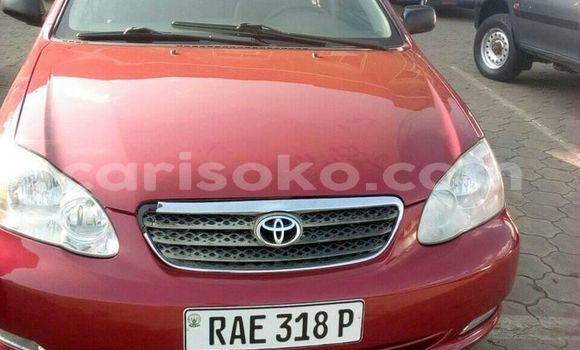 Buy Used Toyota Corolla Red Car in Kigali in Rwanda Buy Used Toyota Corolla Red Car in Kigali in Rwanda