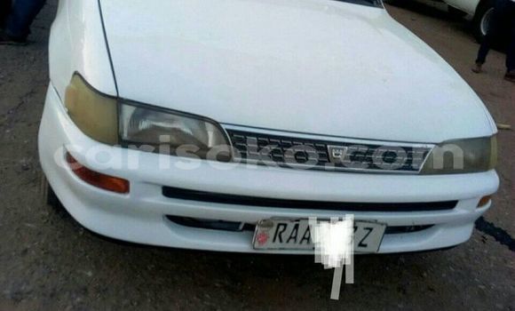 Buy Used Toyota Corolla White Car in Kigali in Rwanda Buy Used Toyota Corolla White Car in Kigali in Rwanda