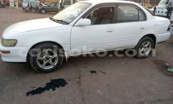 Buy Used Toyota Corolla White Car in Kigali in Rwanda Buy Used Toyota Corolla White Car in Kigali in Rwanda