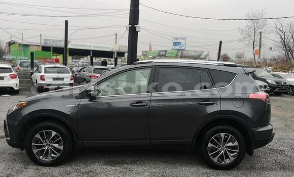 اشتري مستعمل Toyota RAV4 Autre سيارة في Kigali في Rwanda اشتري مستعمل Toyota RAV4 Autre سيارة في Kigali في Rwanda
