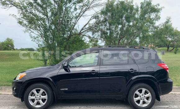 Buy Import Toyota RAV4 Black Car in Gicumbi in Rwanda Buy Import Toyota RAV4 Black Car in Gicumbi in Rwanda