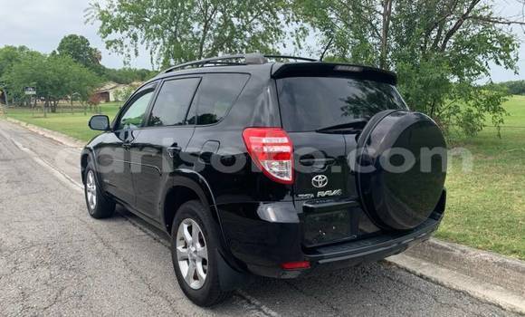 Buy Import Toyota RAV4 Black Car in Gicumbi in Rwanda Buy Import Toyota RAV4 Black Car in Gicumbi in Rwanda