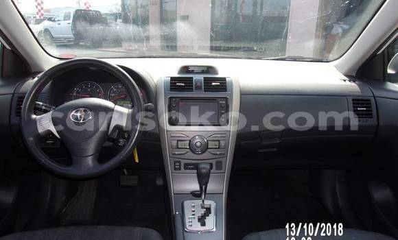 Buy Import Toyota Corolla White Car in Kigali in Rwanda Buy Import Toyota Corolla White Car in Kigali in Rwanda