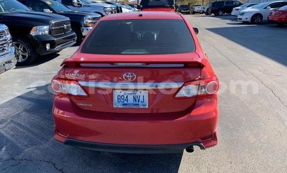 Buy Import Toyota Corolla Red Car in Kigali in Rwanda Buy Import Toyota Corolla Red Car in Kigali in Rwanda