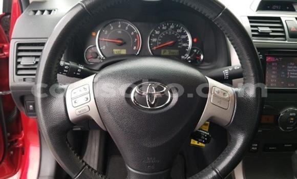 Buy Import Toyota Corolla Red Car in Kigali in Rwanda Buy Import Toyota Corolla Red Car in Kigali in Rwanda